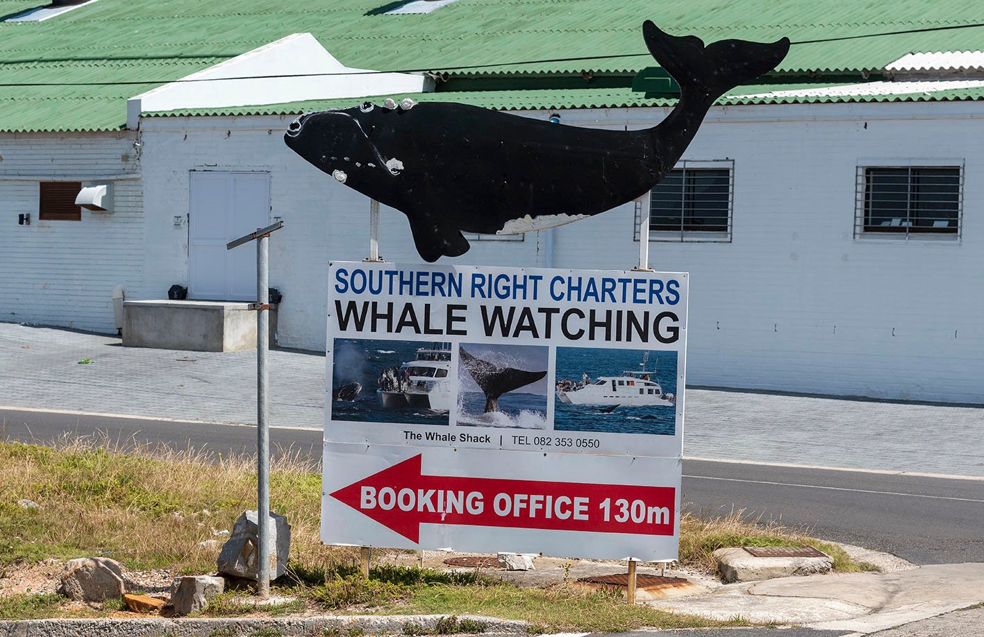 Hermanus, Western cape, South Africa. 2019.  A plastic whale and signage to whale watching boats at the New harbour in Hermanus, Western Cape, South Africa