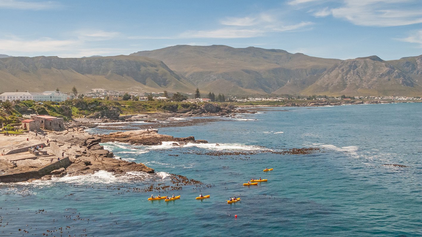 Kayakers paddling out of the old fishing harbour at Hermanus, Western Cape, Soth Africa.